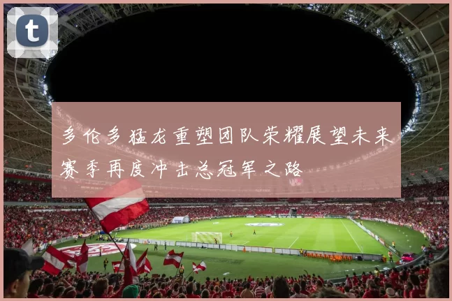 多伦多猛龙重塑团队荣耀展望未来赛季再度冲击总冠军之路