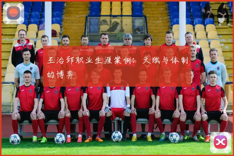 王治郅职业生涯案例：天赋与体制的博弈