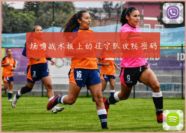 杨鸣战术板上的辽宁队攻防密码