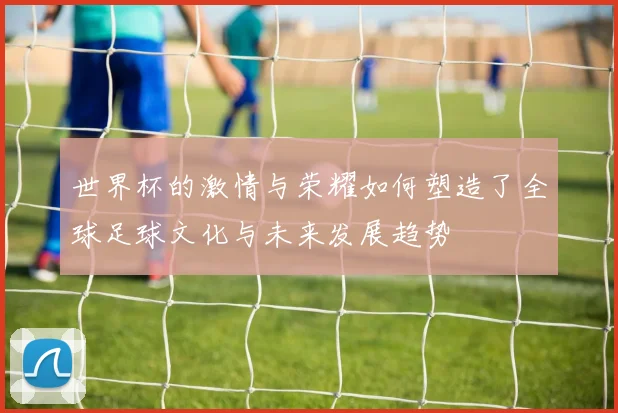 世界杯的激情与荣耀如何塑造了全球足球文化与未来发展趋势