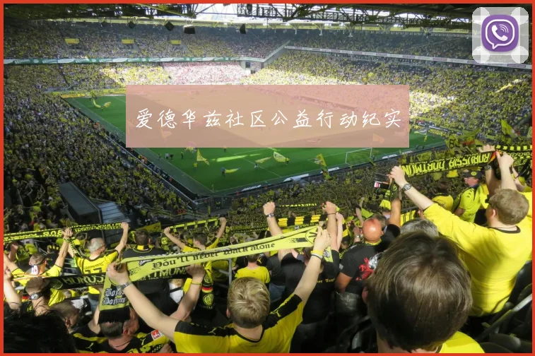 爱德华兹社区公益行动纪实
