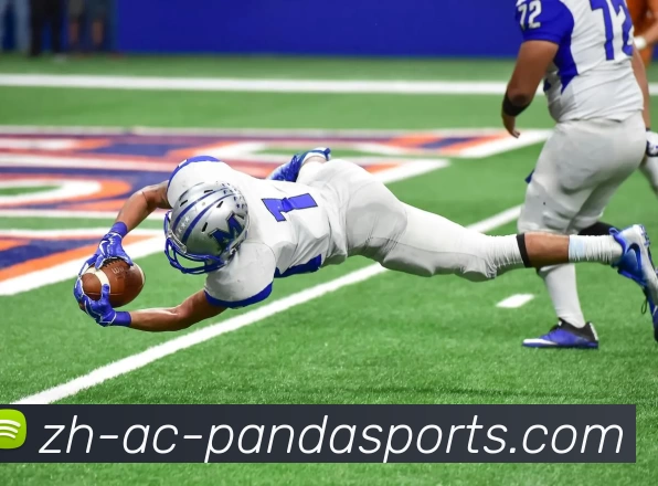 熊猫体育APP 体育赛事宣传图