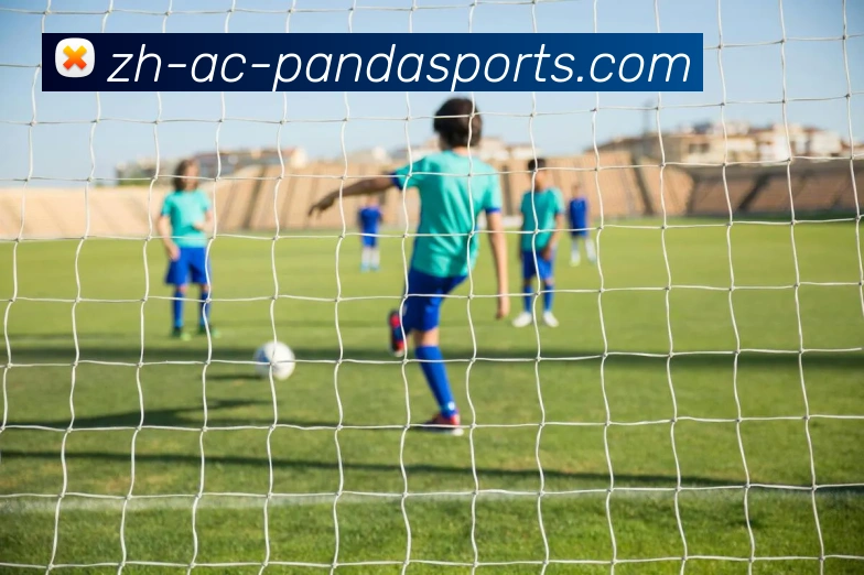 熊猫体育APP 封面图